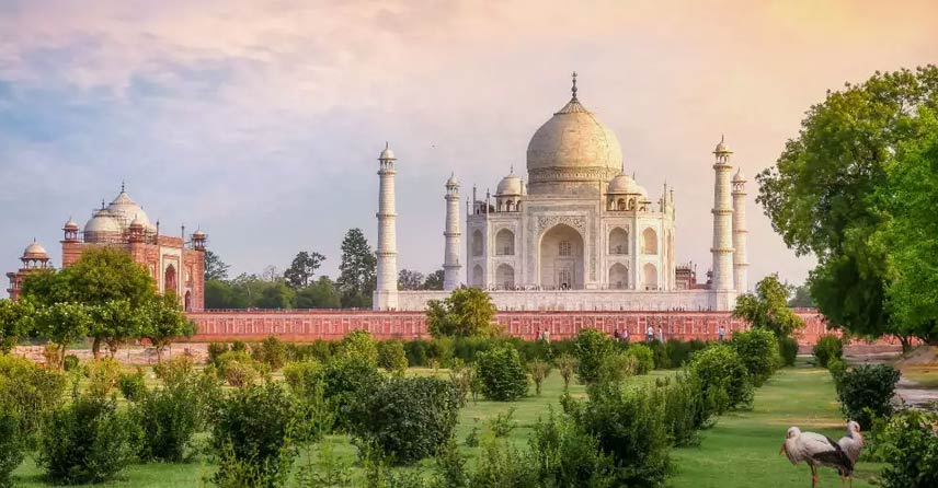 jaipur agra taj mahal tour by car